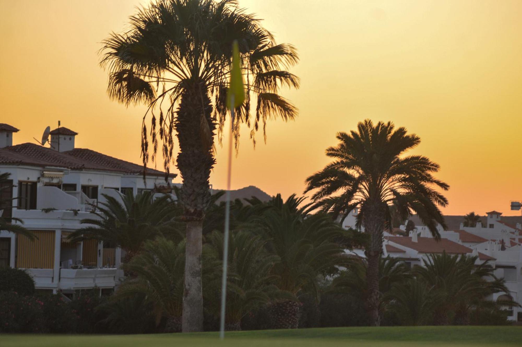 The Palms Golf Del Sur - Casa Andromeda Lägenhet San Miguel de Abona Exteriör bild